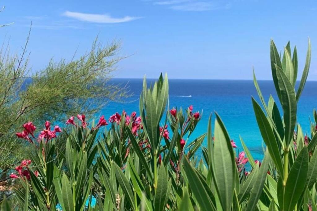 Boutique Apartment With Beach Within Walking Distance, Near Tropea Parghelia Exteriér fotografie